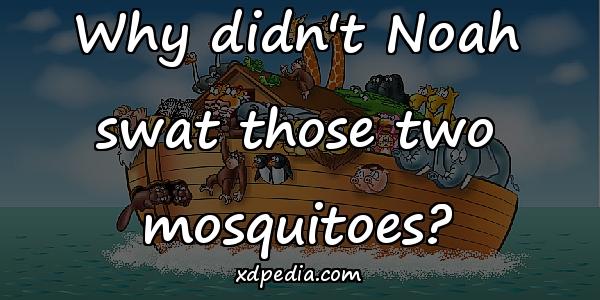 Why didn't Noah swat those two mosquitoes?