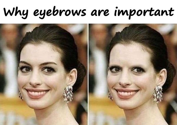 Why eyebrows are important
