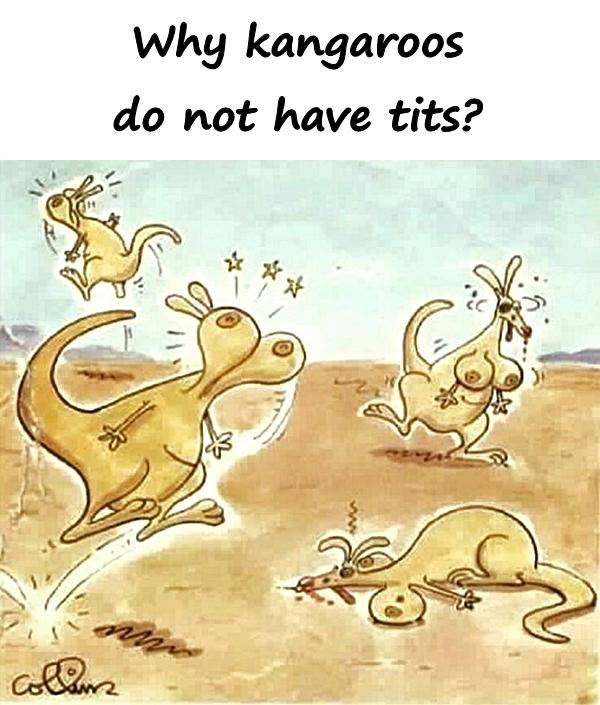 Why kangaroos do not have tits?