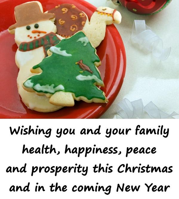 Wishing you and your family health, happiness, peace and prosperity this Christmas and in the coming New Year.