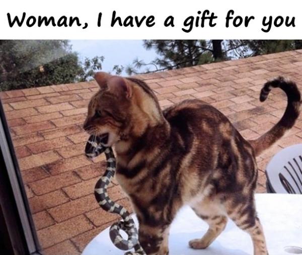 Woman, I have a gift for you