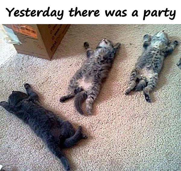 Yesterday there was a party