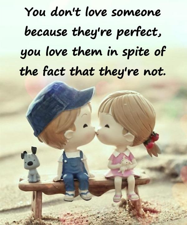 You don't love someone because they're perfect, you love them in spite of the fact that they're not.