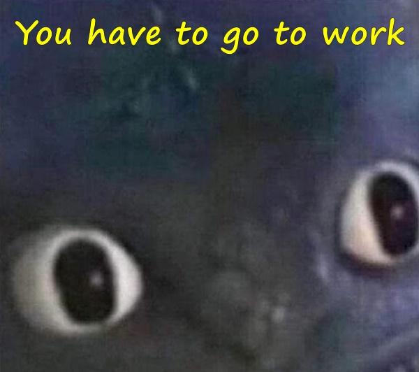 You have to go to work