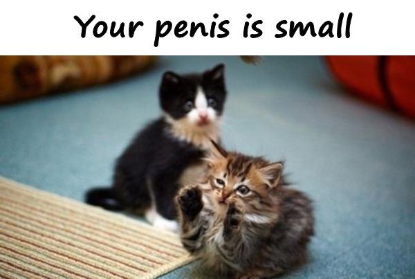 Small is your penis Ten Subtle
