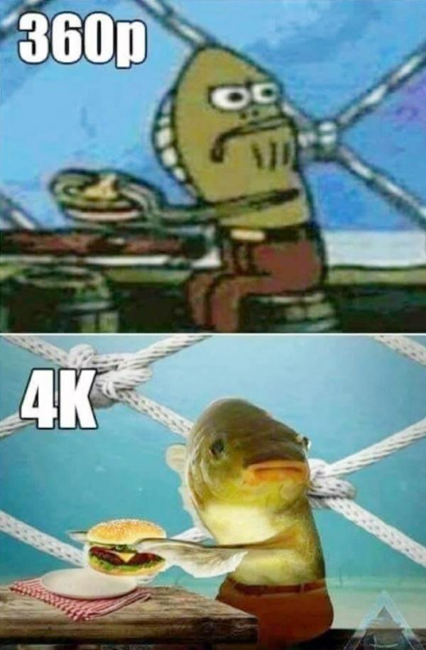 360p vs. 4K