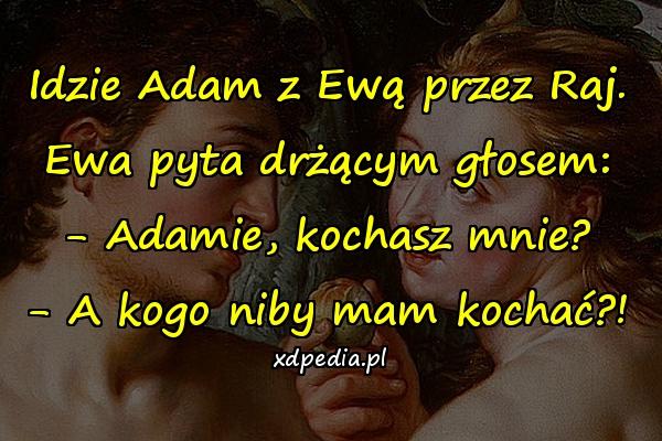 Idzie Adam z Ewą przez Raj. Ewa pyta drżącym głosem: - Adamie, kochasz mnie? - A kogo niby mam kochać?!