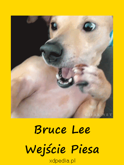 Bruce Lee - Wejście Piesa