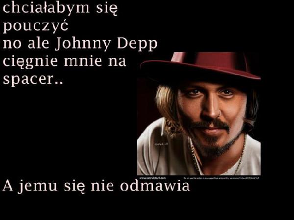 Chciałabym się pouczyć, no ale Johnny Depp ciągnie mnie na spacer... A jemu się nie odmawia