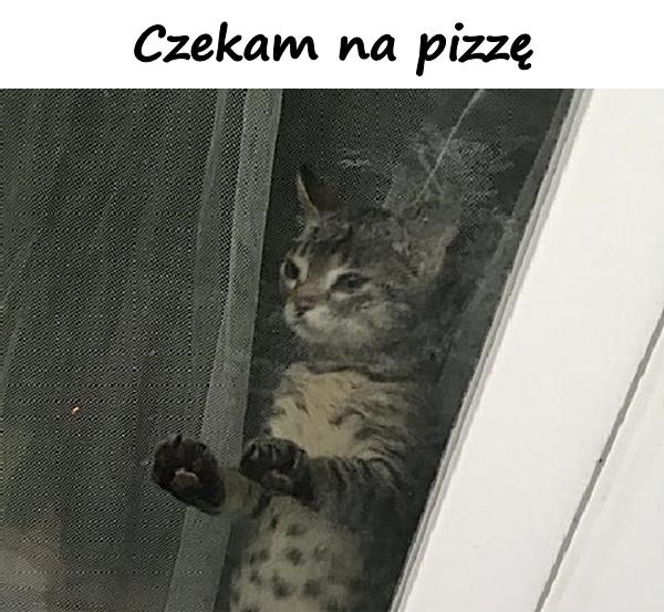 Czekam na pizzę