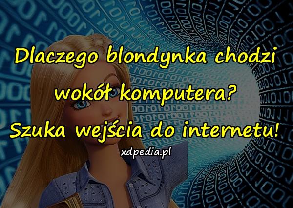 Dlaczego blondynka chodzi wokół komputera? Szuka wejścia do internetu!