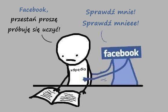 - Facebook, przestań proszę, próbuję się uczyć! - Sprawdź mnie! Sprawdź mnieee!