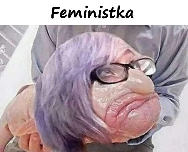 Feministka