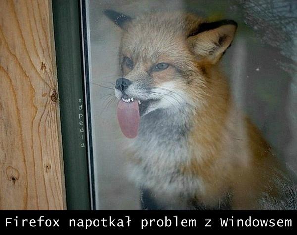 Firefox napotkał problem z Windowsem