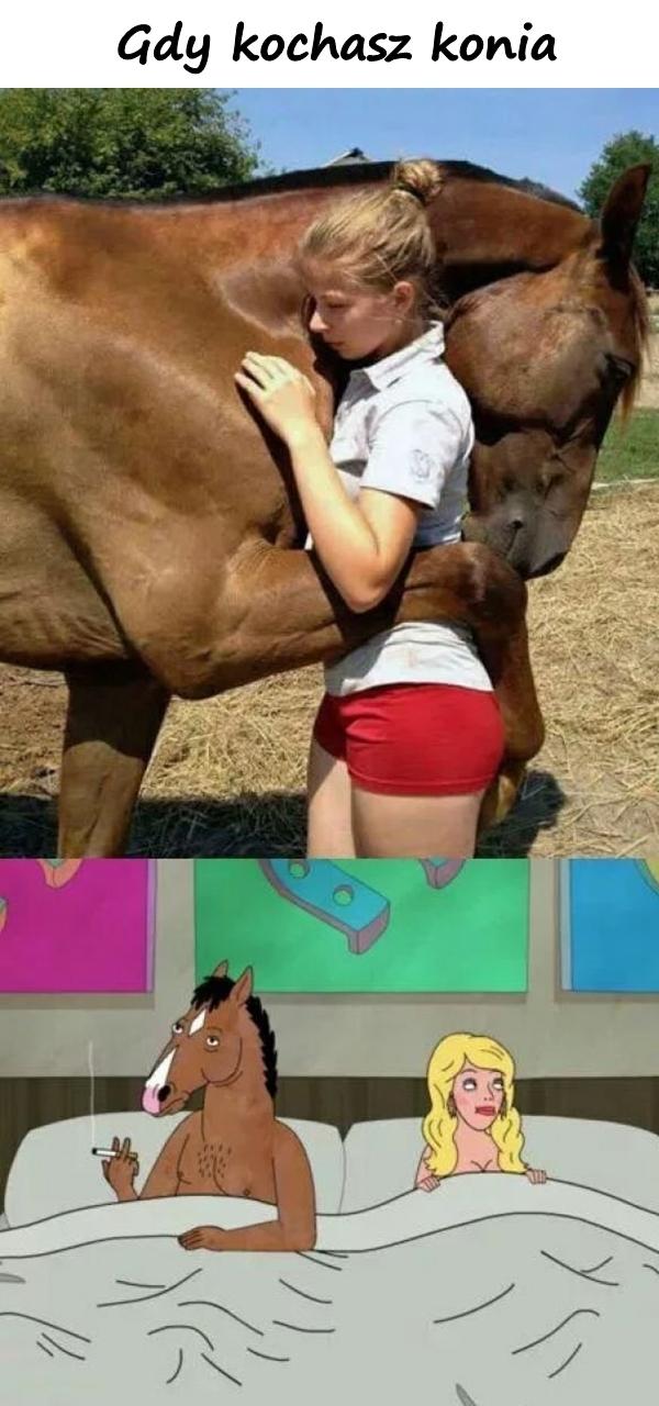 Gdy kochasz konia