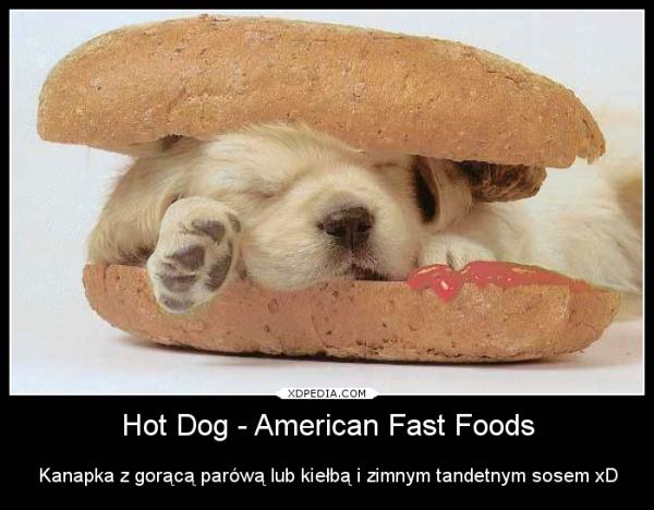 Hot dog – American Fast Foods Kanapka z gorącą parówą lub kiełbą i zimnym tandetnym sosem xD
