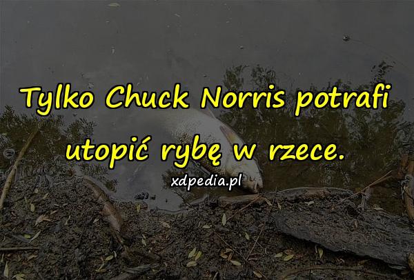 Tylko Chuck Norris potrafi utopić rybę w rzece.