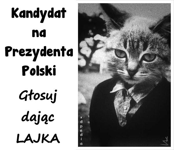 Kandydat na Prezydenta Polski. Głosuj dając LAJKA.