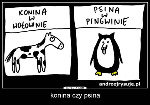 Konina w wołowinie Psina w pingwinie