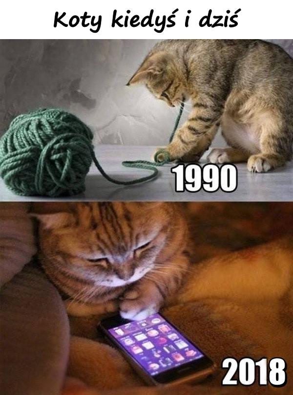Koty kiedyś i dziś