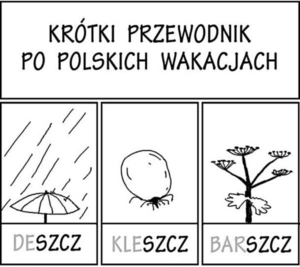 Krótki przewodnik po polskich wakacjach: deszcz, kleszcz, barszcz