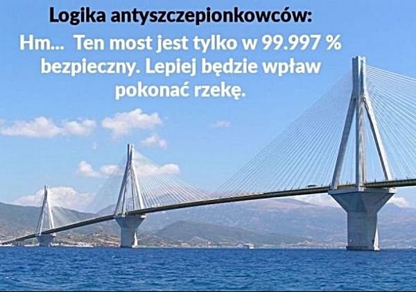Logika antyszczepionkowców. Hm... Ten most jest tylko w 99,997 procentach bezpieczny. Lepiej będzie wpław pokonać rzekę.