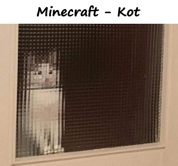 Minecraft - Kot