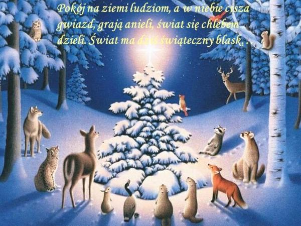 Pokój na ziemi ludziom,
a w niebie cisza gwiazd,
grają anieli,
świat się chlebem dzieli.
Świat ma dziś świąteczny blask
Pięknych i radosnych 
Świąt Bożego Narodzenia!