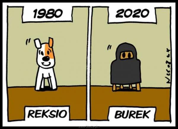 Reksio 1980 vs burek 2020