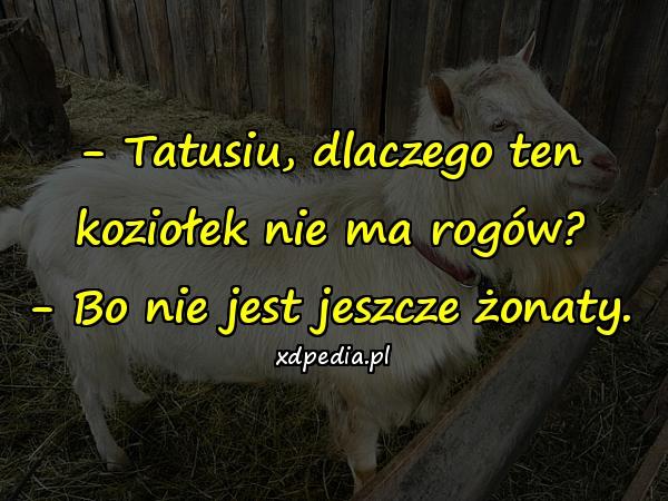 tatusiu_dlaczego_ten_koziolek_nie_ma_rog