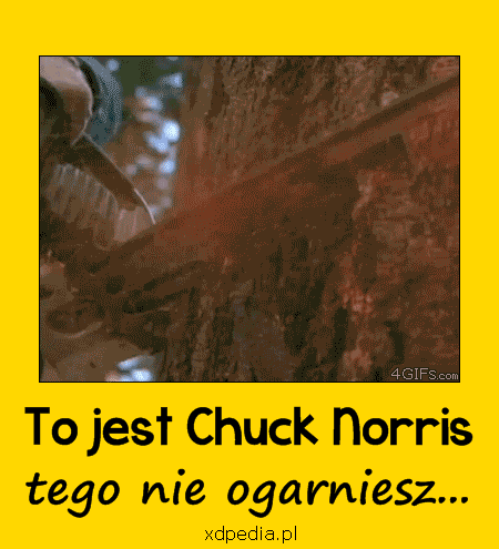 To jest Chuck Norris, tego nie ogarniesz...