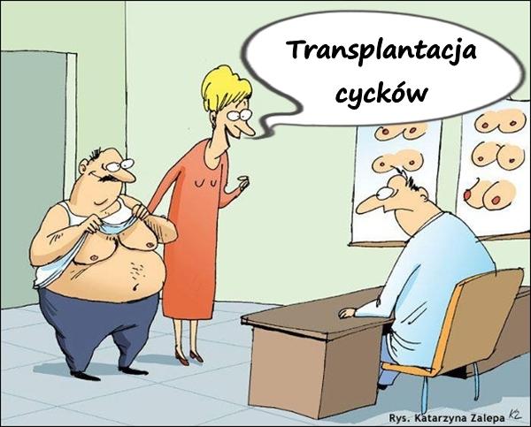 Transplantacja cycków