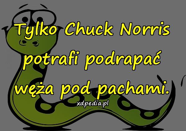Tylko Chuck Norris potrafi podrapać węża pod pachami.