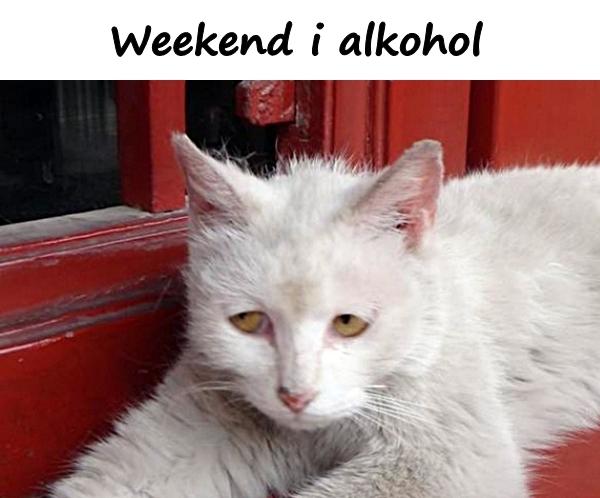 Weekend i alkohol