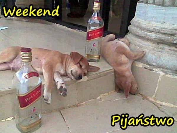 Weekend - pijaństwo