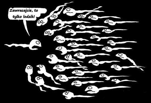zawracajcie_to_tylko_lodzik_24373.jpg