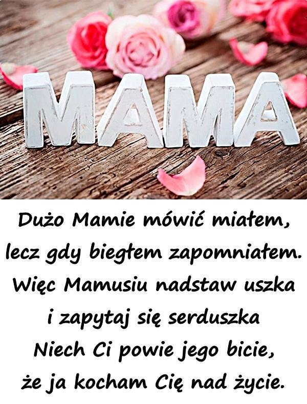 Życzenia na Dzień Matki - Dużo Mamie mówić miałem - xdPedia (33784)